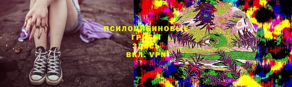 герыч Бронницы