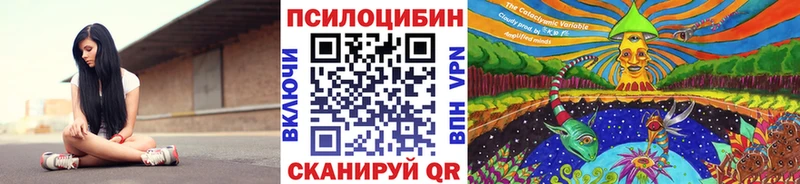 Псилоцибиновые грибы ЛСД  Купить закладки  Питкяранта 